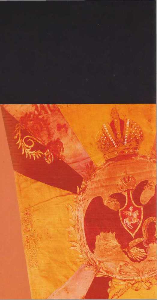 Петербургские парады. Праздники и церемонии с участием войск в XVIII - начала XX века - _28.jpg