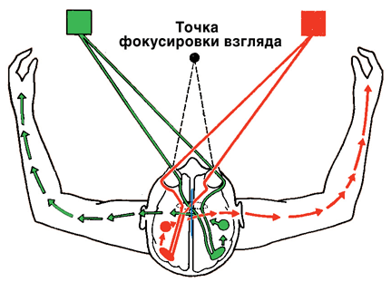 Как мы видим то, что видим - img4721.png