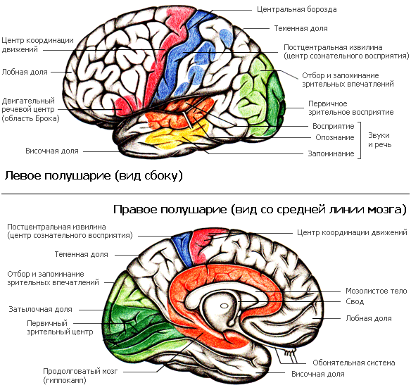 Как мы видим то, что видим - imgC865.png