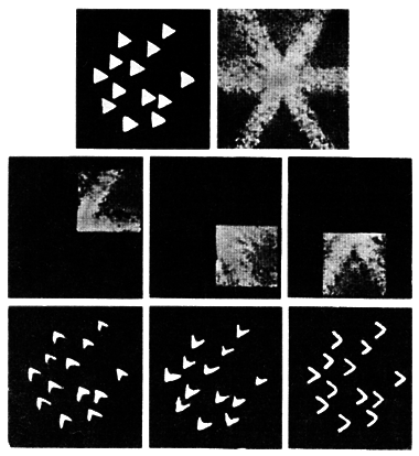 Как мы видим то, что видим - img6DB4.png