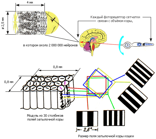 Как мы видим то, что видим - img74ED.png