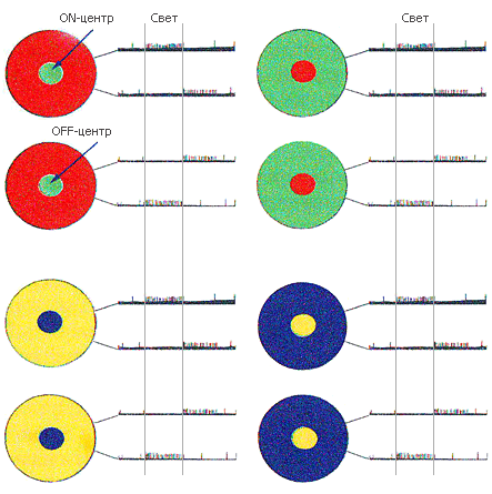 Как мы видим то, что видим - img87BB.png