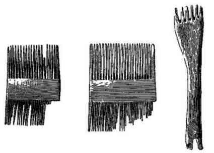 По следам древних культур - i_125.jpg