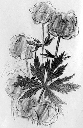 На берегах Себерянки - i_027.jpg