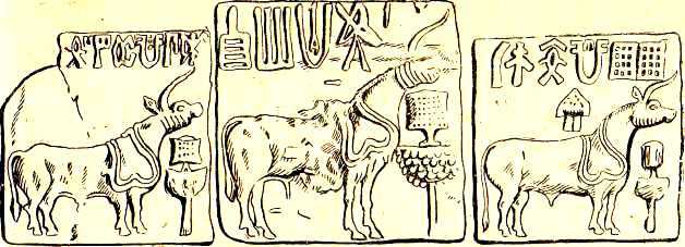 История Древнего Востока - i_172.jpg