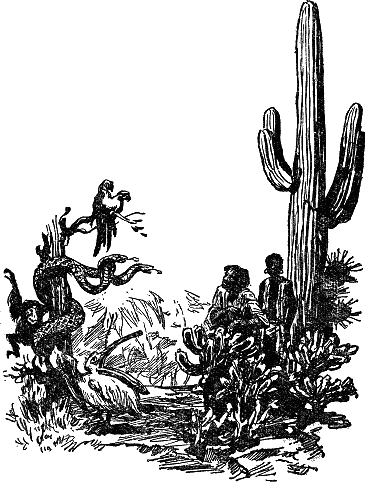 Человек-амфибия (с иллюстрациями) - i_004.png