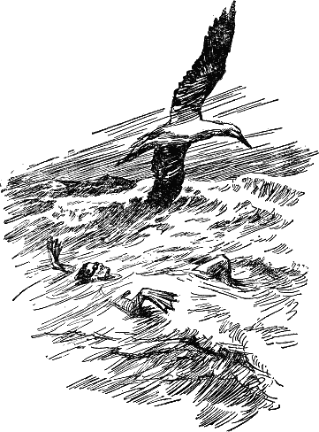 Человек-амфибия (с иллюстрациями) - i_005.png