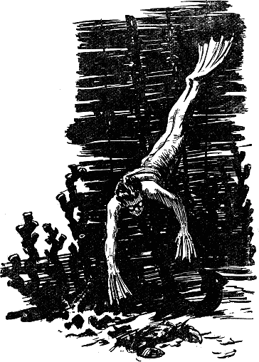 Человек-амфибия (с иллюстрациями) - i_009.png