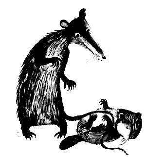 Торпи - pic_11.jpg