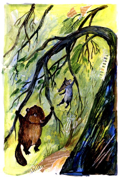 Торпи - pic_19.jpg