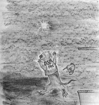 Хорьки-спасатели на море - image16.jpg