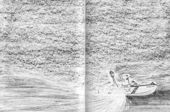 Хорьки-спасатели на море - image17.jpg