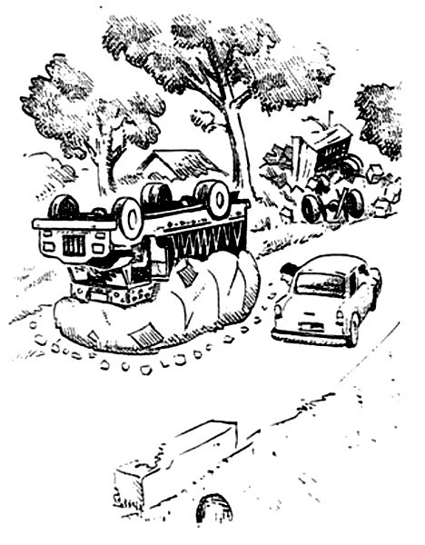 Жонглер с тиграми (ЛП) - i_002.jpg