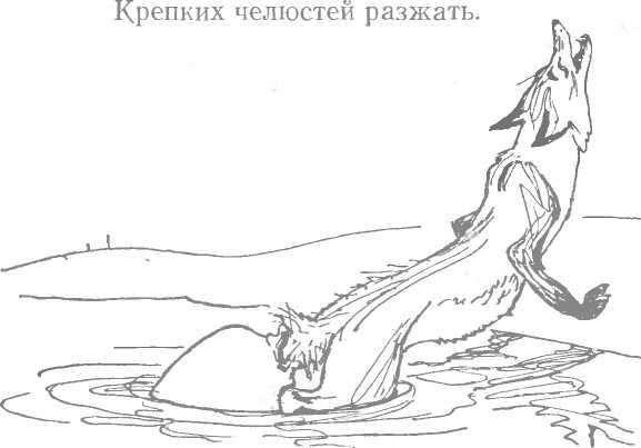 Ленивый Мурад - image31.jpg