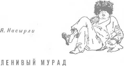 Ленивый Мурад - image34.jpg