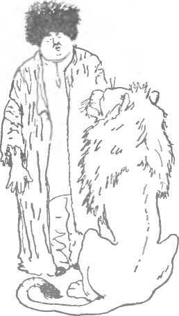 Ленивый Мурад - image35.jpg