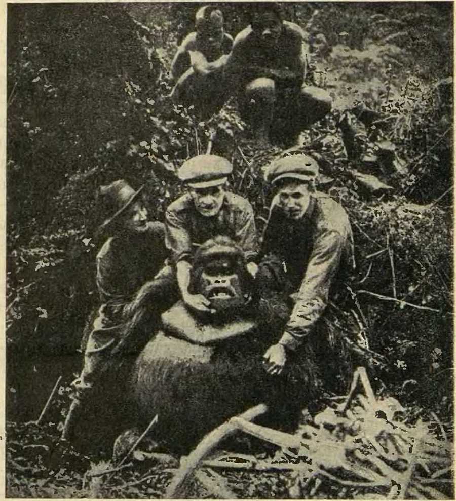 В сердце Африки - _37.jpg