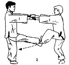 Энциклопедия ВИН ЧУН КУНГ-ФУ. Кн.2. Специальная техника - _02.jpg_3