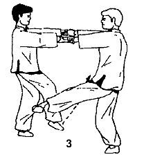 Энциклопедия ВИН ЧУН КУНГ-ФУ. Кн.2. Специальная техника - _03.jpg_2