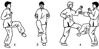 Энциклопедия ВИН ЧУН КУНГ-ФУ. Кн.2. Специальная техника - _04.jpg_0