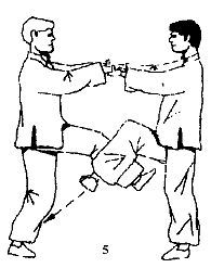 Энциклопедия ВИН ЧУН КУНГ-ФУ. Кн.2. Специальная техника - _05.jpg_2