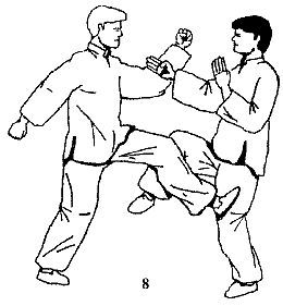 Энциклопедия ВИН ЧУН КУНГ-ФУ. Кн.2. Специальная техника - _08.jpg_0