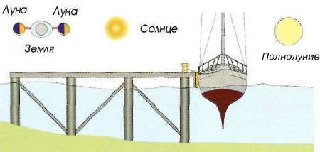 Яхтинг: Полное руководство - pic_74.jpg