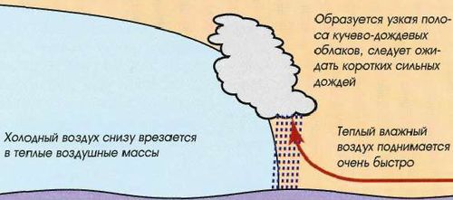 Яхтинг: Полное руководство - pic_219.jpg