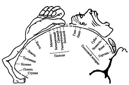 Русский рукопашный бой - _94.jpg