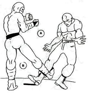 Девять залов смерти. Секреты мастерства ниндзя - _41.jpg