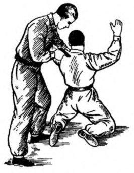 Система самбо - img_245.jpg