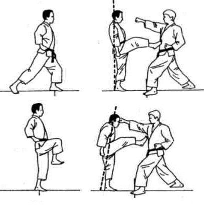 Динамика каратэ - img_163.jpeg