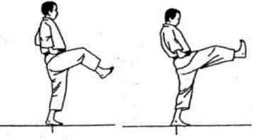 Динамика каратэ - img_164.jpeg