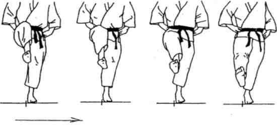 Динамика каратэ - img_167.jpeg