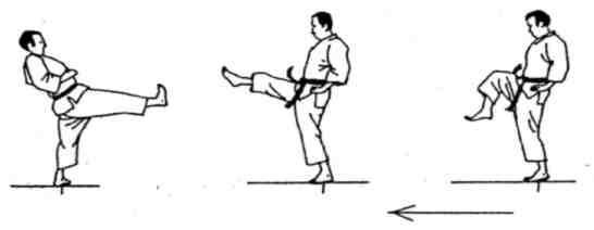 Динамика каратэ - img_168.jpeg