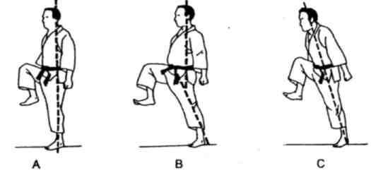 Динамика каратэ - img_169.jpeg