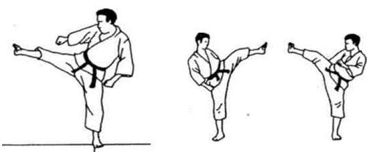 Динамика каратэ - img_170.jpeg