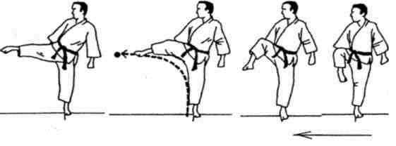 Динамика каратэ - img_174.jpeg