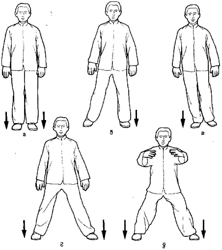 Тай-Цзи цюань. Полное руководство по теории и практике - i_005.png