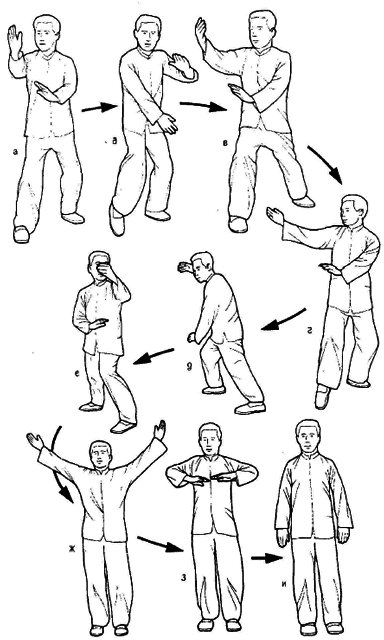 Тай-Цзи цюань. Полное руководство по теории и практике - i_009.png
