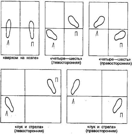 Тай-Цзи цюань. Полное руководство по теории и практике - i_011.png