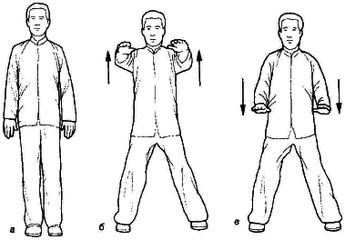Тай-Цзи цюань. Полное руководство по теории и практике - i_016.png