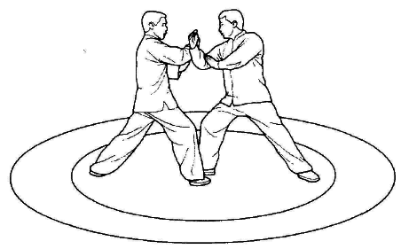 Тай-Цзи цюань. Полное руководство по теории и практике - i_045.png