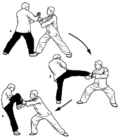 Тай-Цзи цюань. Полное руководство по теории и практике - i_047.png