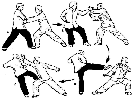 Тай-Цзи цюань. Полное руководство по теории и практике - i_048.png