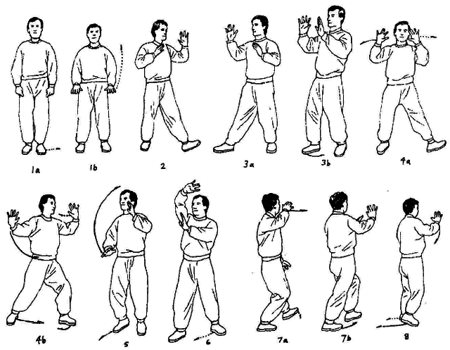 Тай-Цзи цюань. Полное руководство по теории и практике - i_116.png