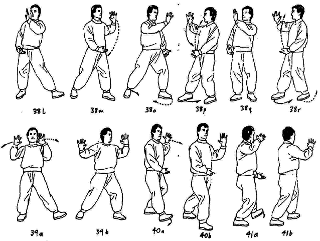 Тай-Цзи цюань. Полное руководство по теории и практике - i_124.png