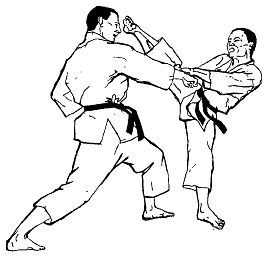 КАППО. Японская техника реанимации в практике боевых искусств - _22.jpg