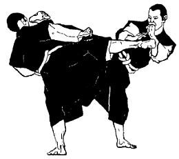 КАППО. Японская техника реанимации в практике боевых искусств - _26.jpg