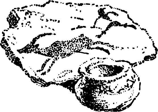 Лилит - i_006.png